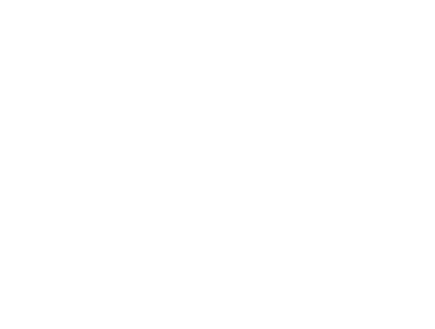 P.F.C. Studio
